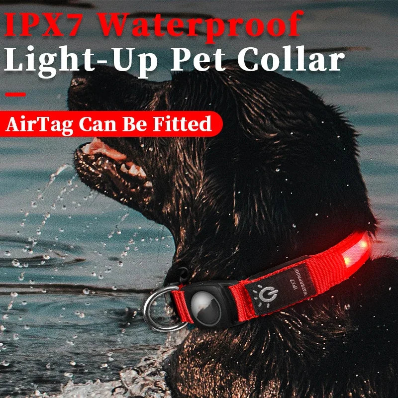 LumaGuard™ TrackSafe Collar